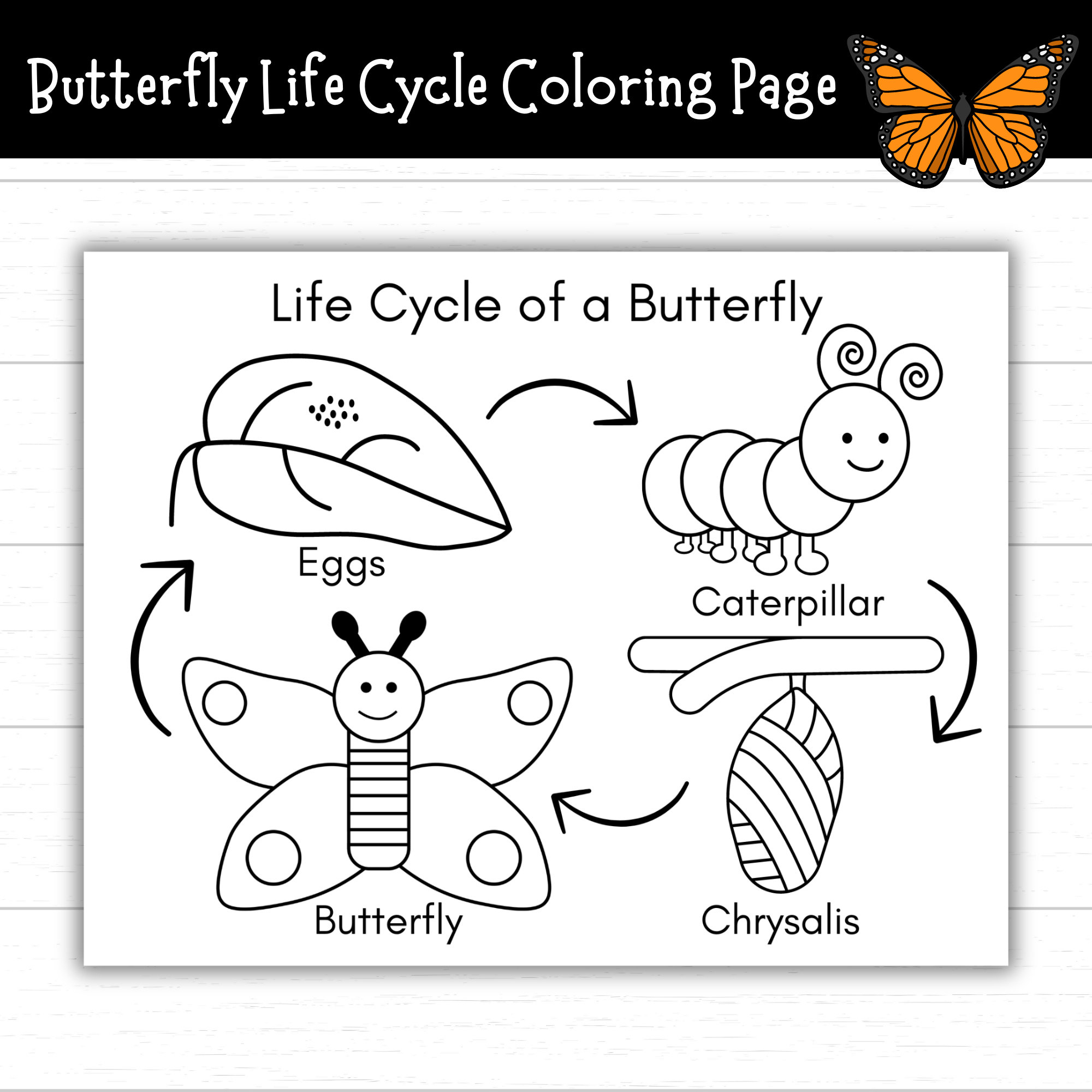 Butterfly Life Cycle Coloring Page, Printable Life Cycle Of A for Printable Life Cycle A Butterfly