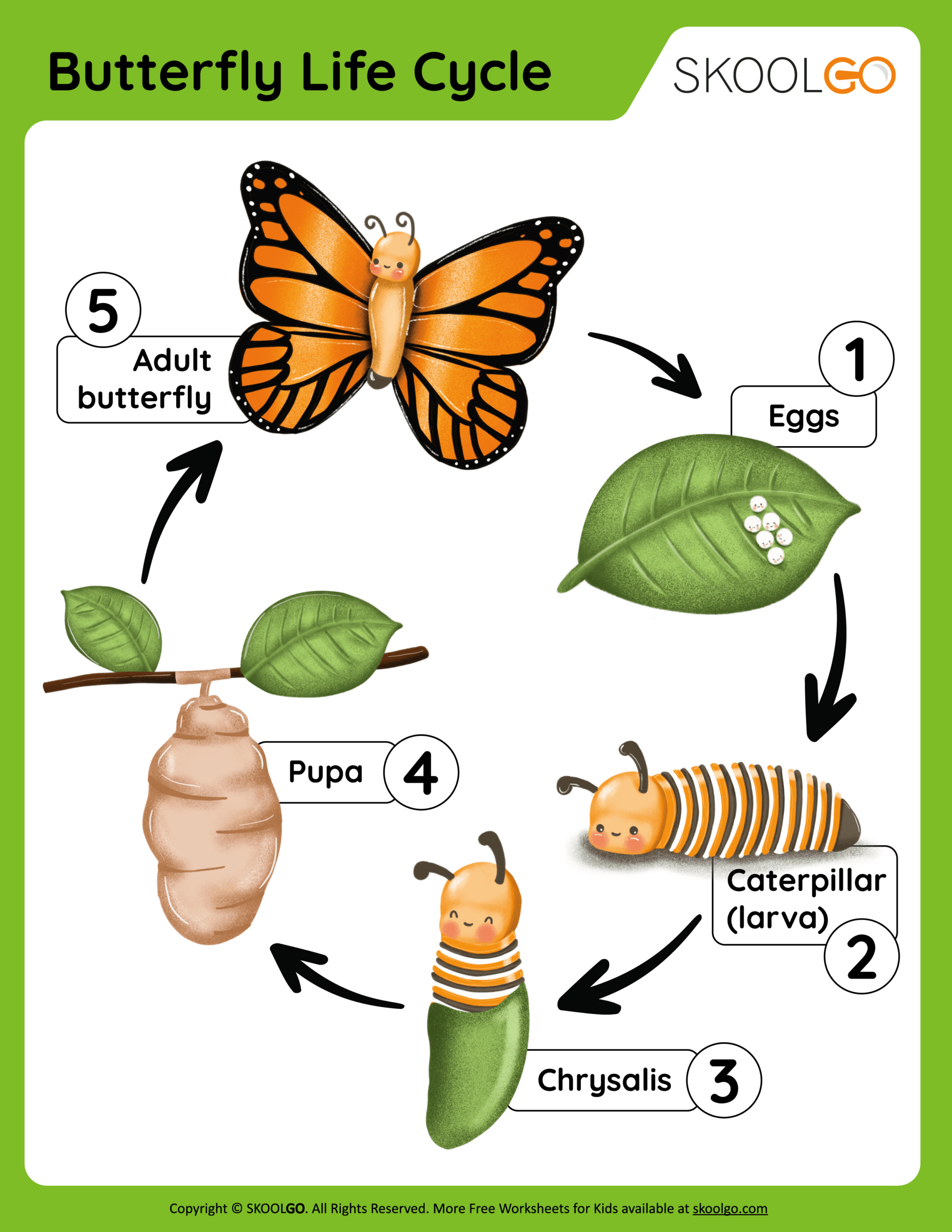 Butterfly Life Cycle - Free Worksheet - Skoolgo in Printable Life Cycle A Butterfly