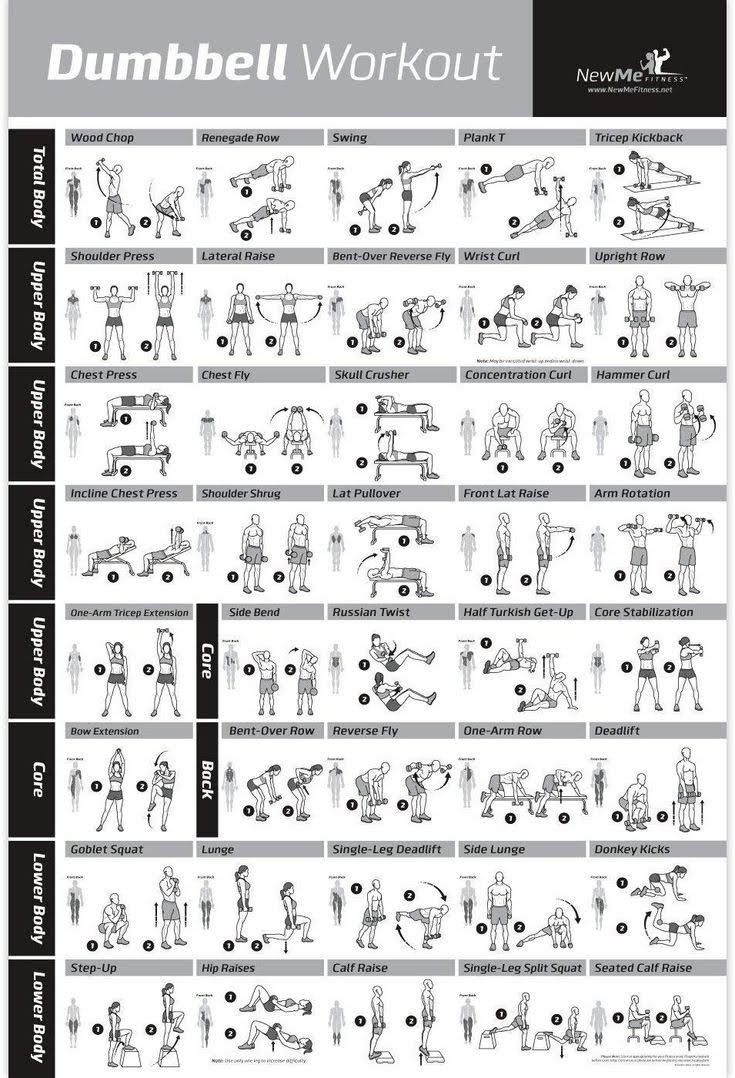 Dumbbell Workout Chart - Full Body Circuit throughout Dumbbell Workout Chart Printable
