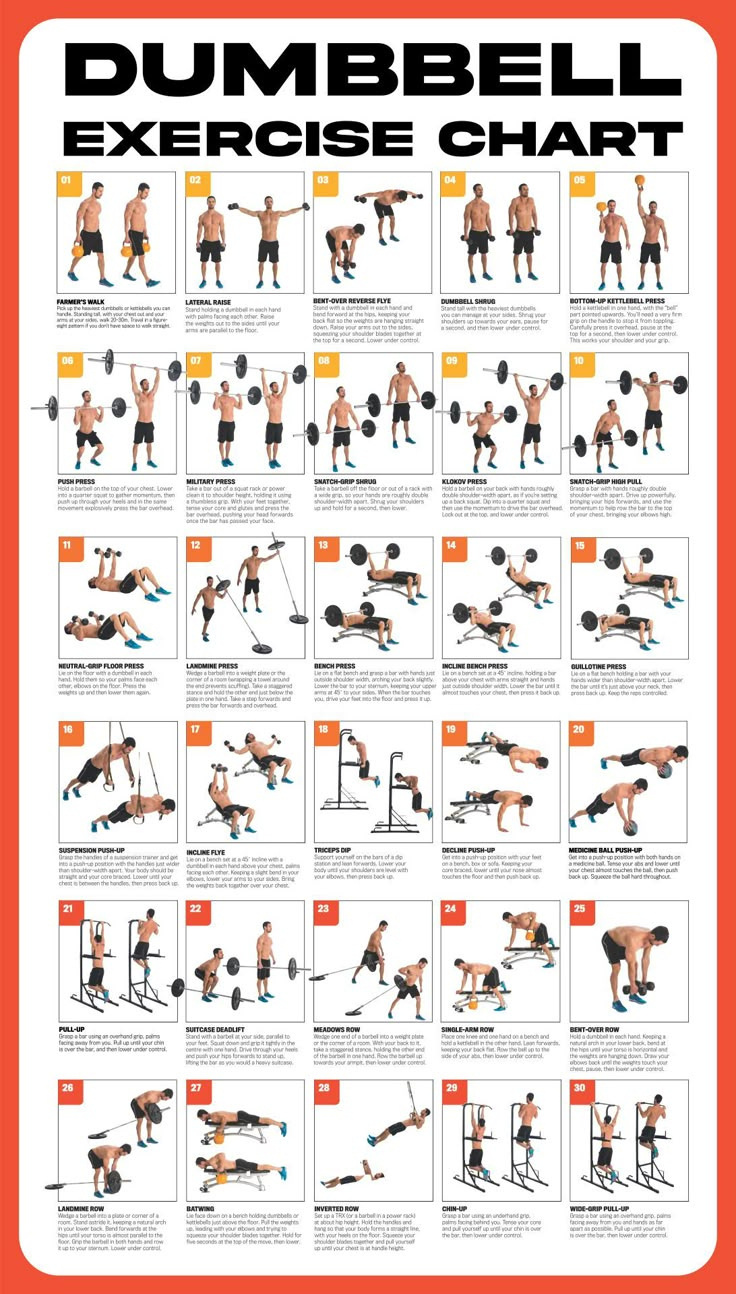 Dumbbell Workout Poster - 10 Free Pdf Printables | Printablee with Dumbbell Workout Chart Printable