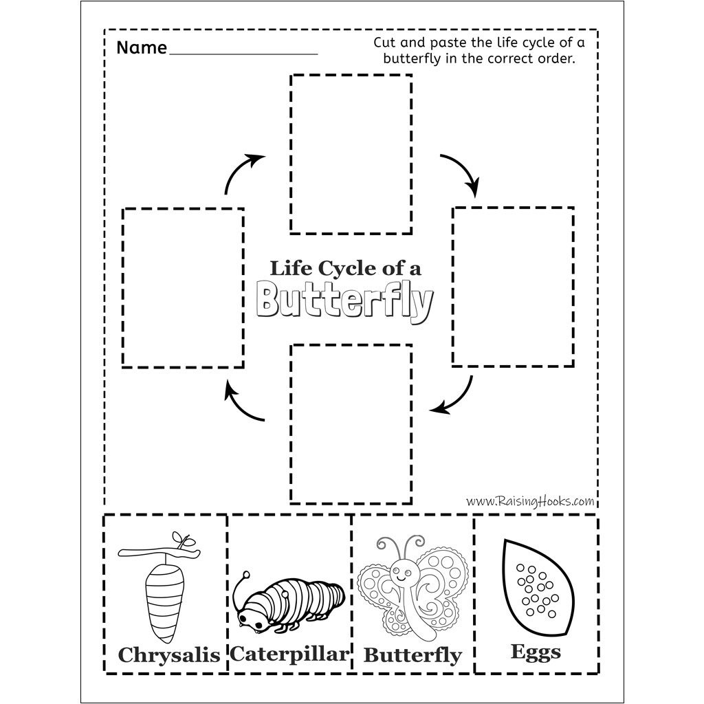 Life Cycle Of A Butterfly – Cut And Paste - Raising Hooks for Printable Life Cycle a Butterfly